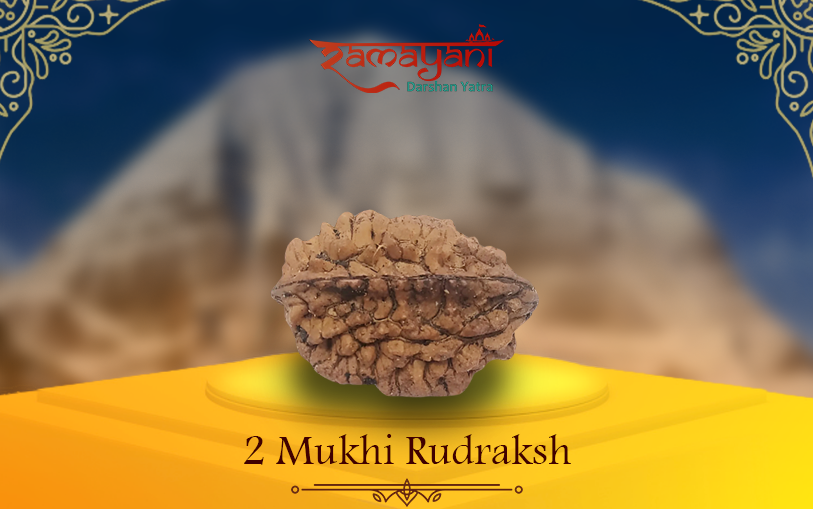 Two Mukhi Rudraksha