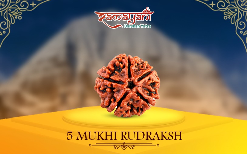 Five Mukhi Rudraksha