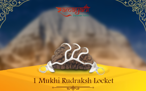 1 Mukhi Rudraksha locket