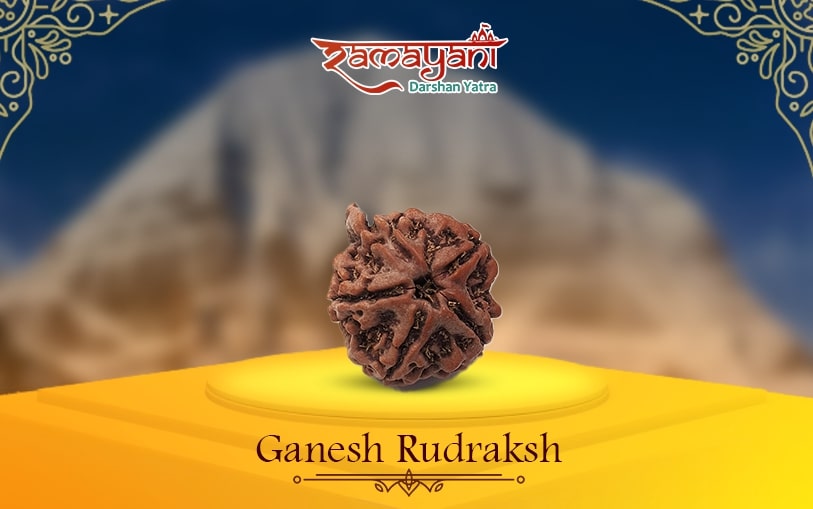 Ganesh Rudraksha