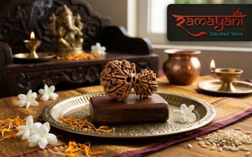 Garbha-Gauri Rudraksha